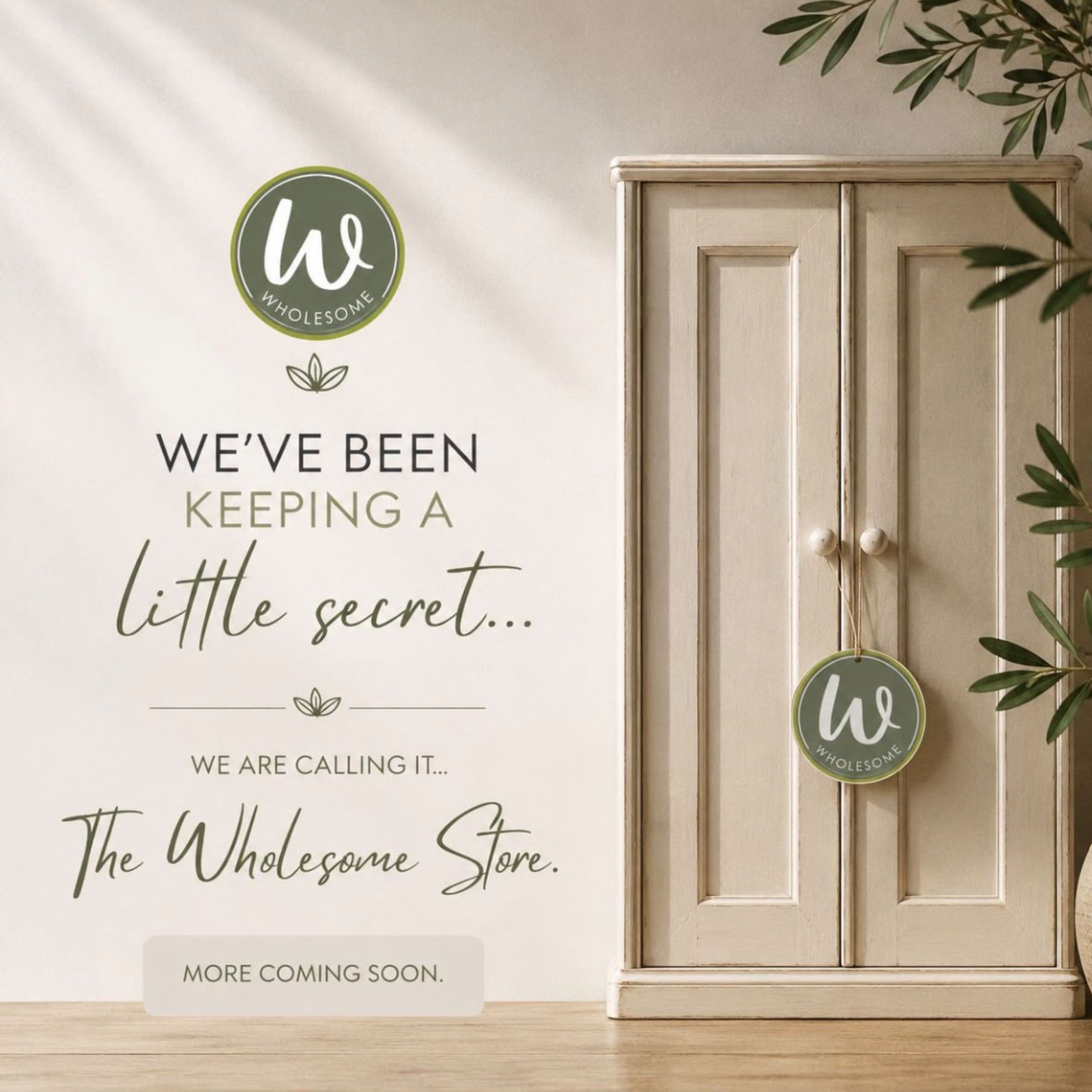 The Wholesome Store Coming Soon